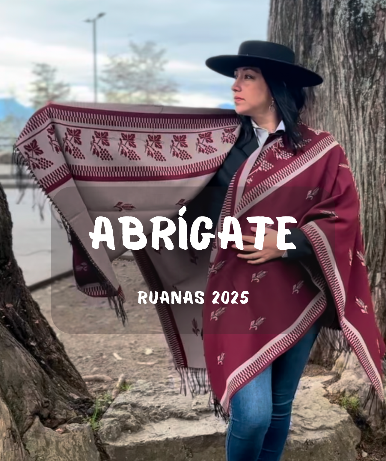 Captura de pantalla 2025 06 19 a la s 2